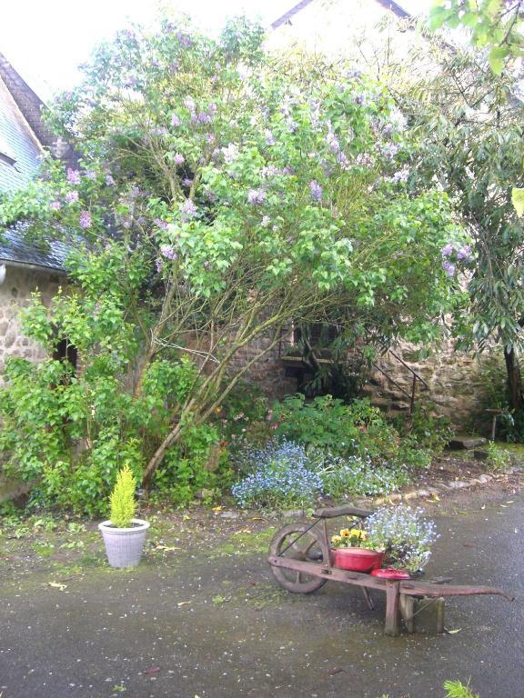 Gites De La Ferme Auberge De Mesauboin Bille Ngoại thất bức ảnh